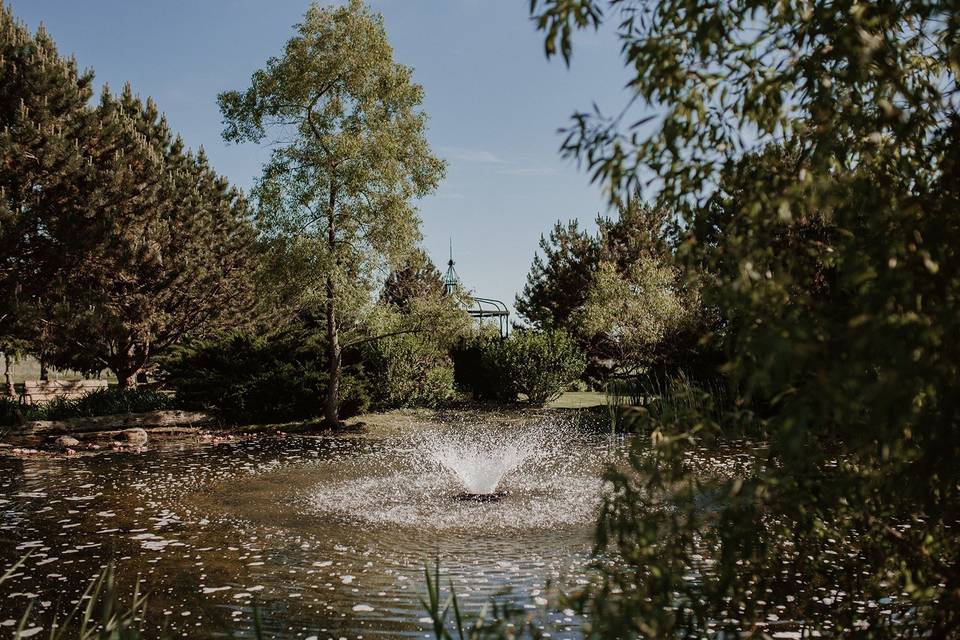 Pond Behind Garden Ceremony