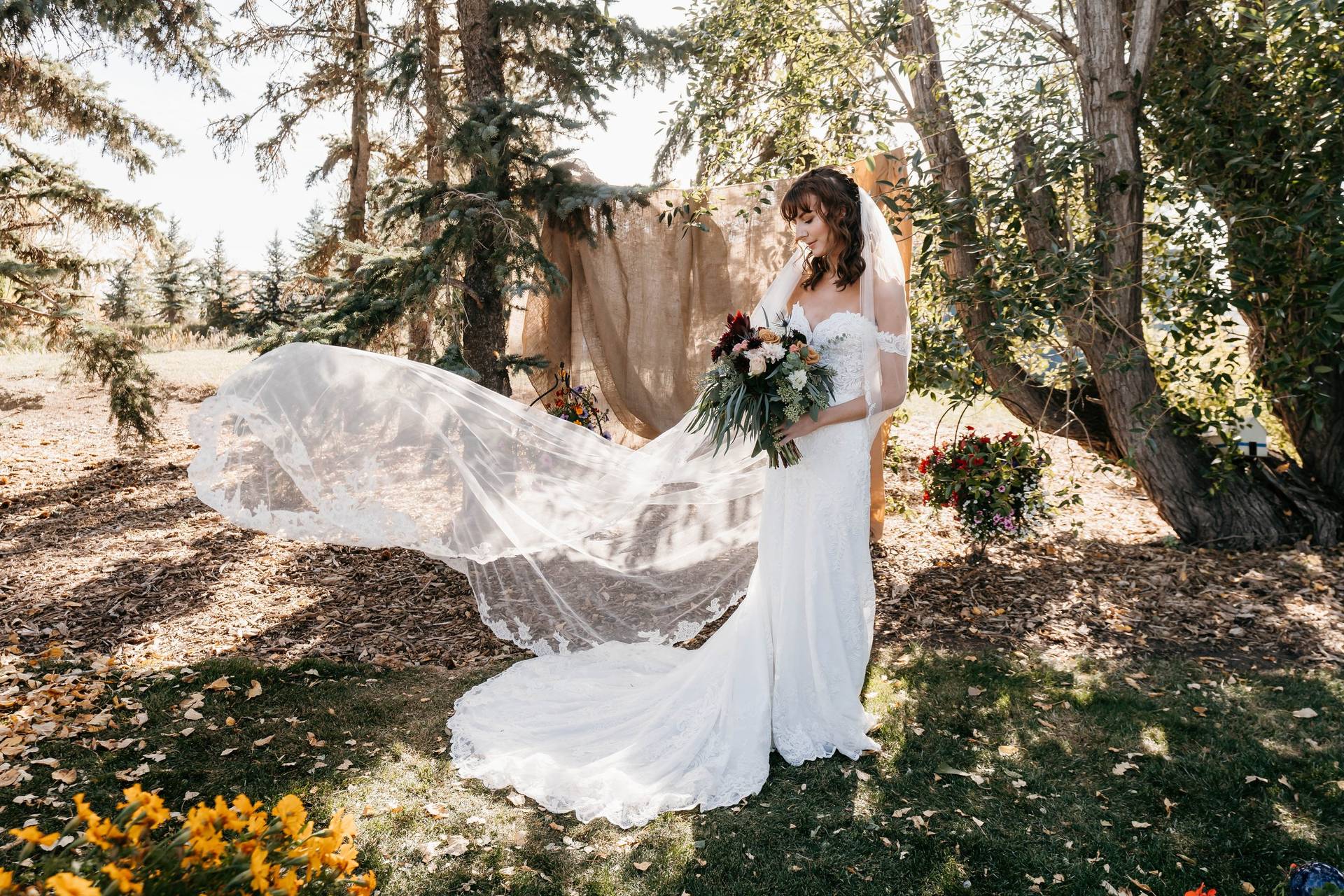 Jessie Rae Films - Videography - Calgary - Weddingwire.ca