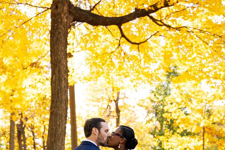 Montreals wedding