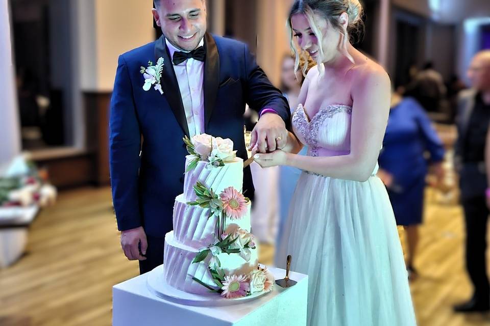 Spotlight cake cutting