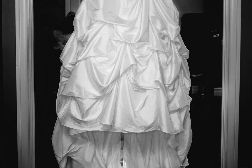 The Dress