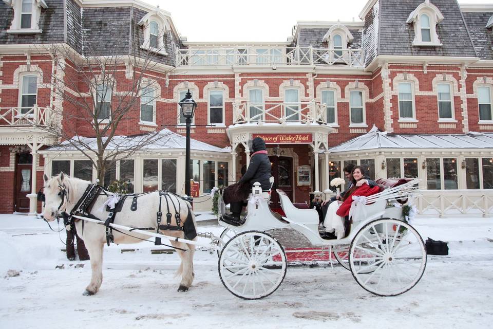 Horse and Carriage