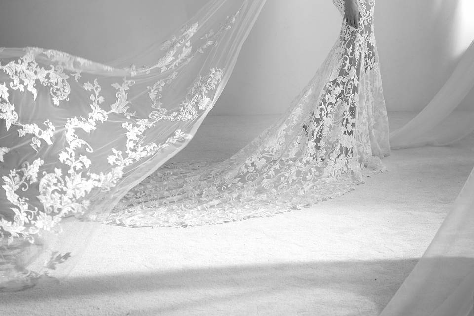 Veiled bride