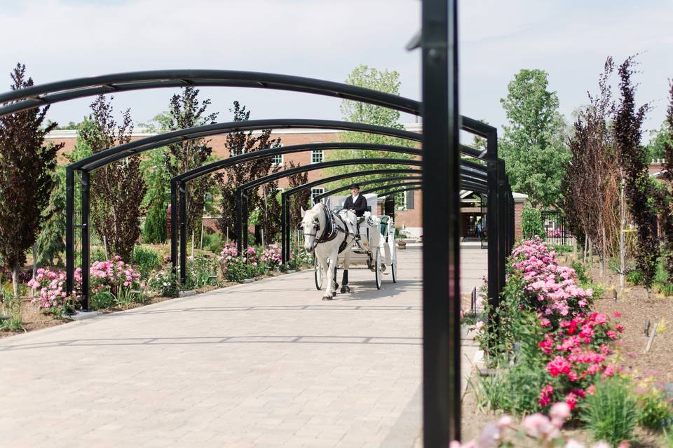 Horse & Carriage in The Garden