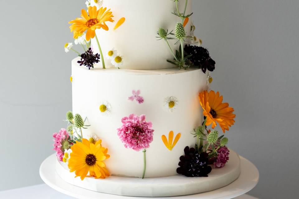 Edmonton Wedding Photography