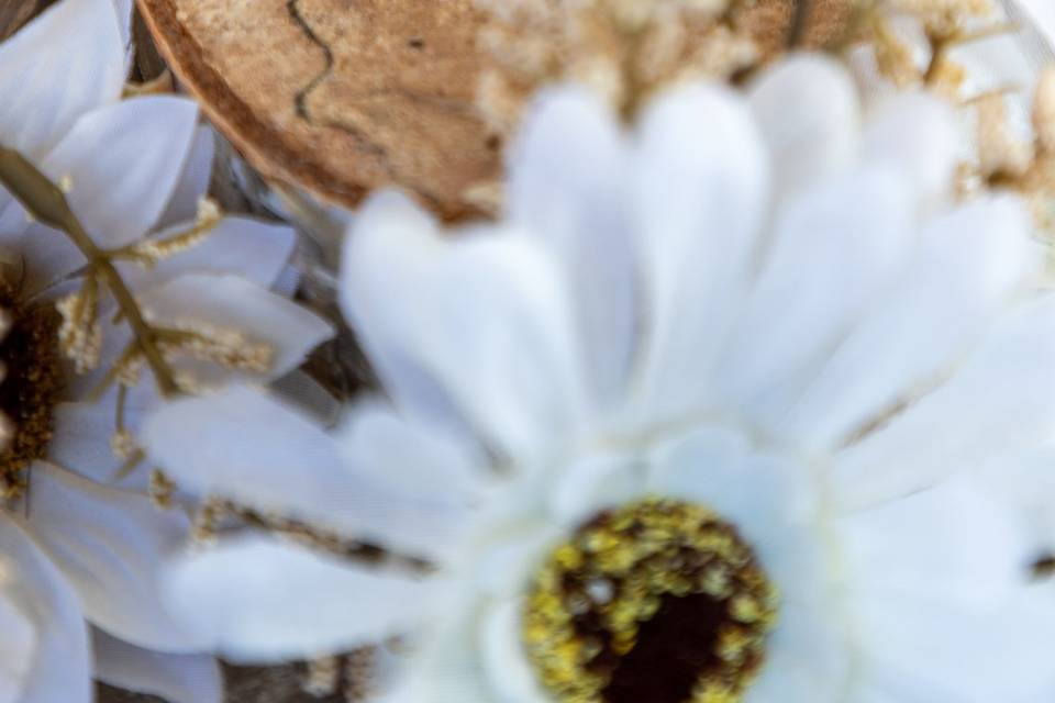 Wedding Detail Photos