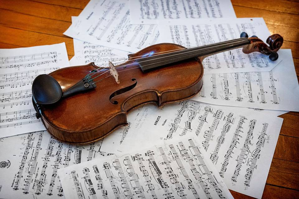 Elegant Solo Violin