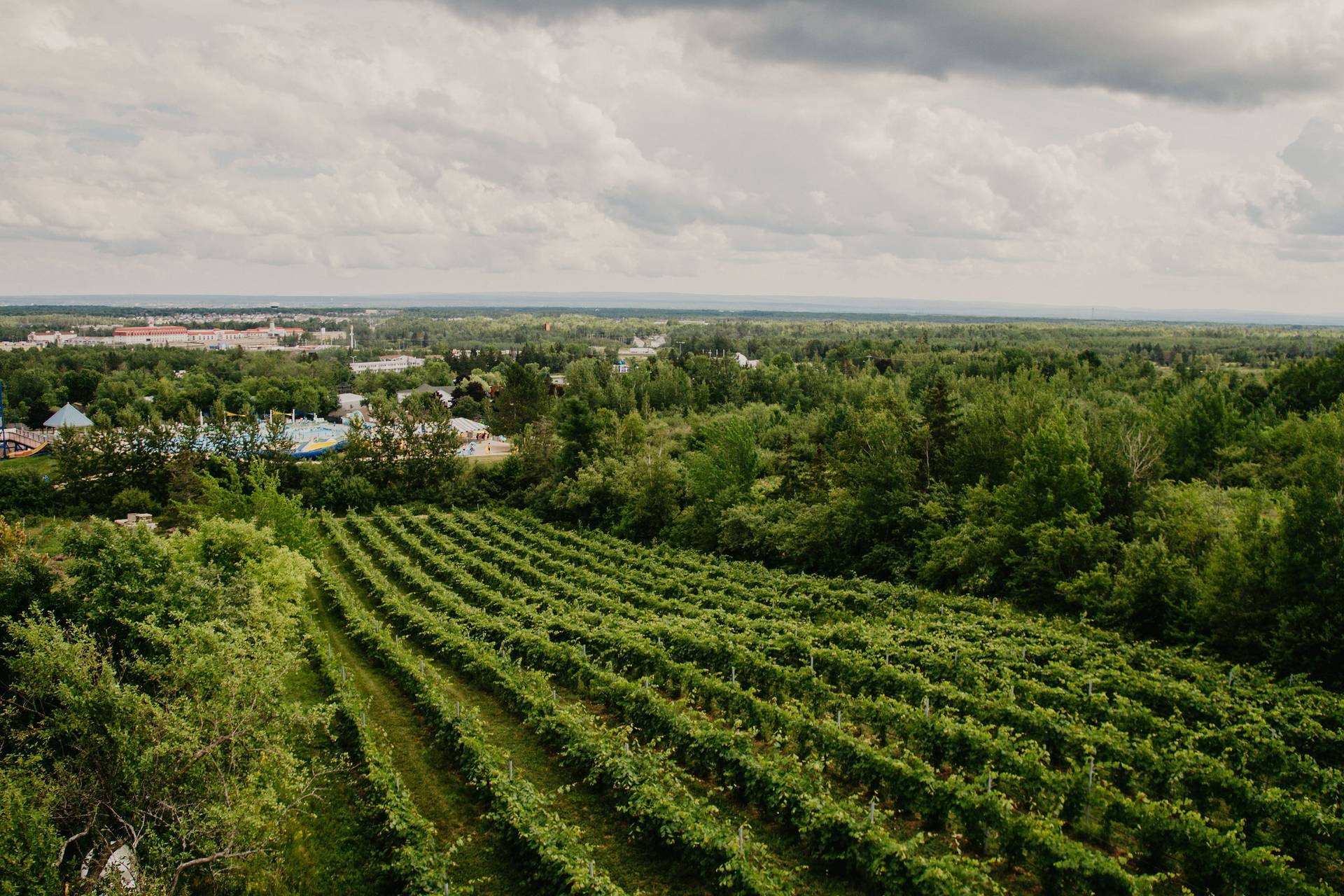 Magnetic Hill Winery And B&B - Venue - Moncton - Weddingwire.ca