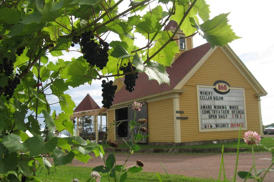 Moncton, New Brunswick vineyard wedding party