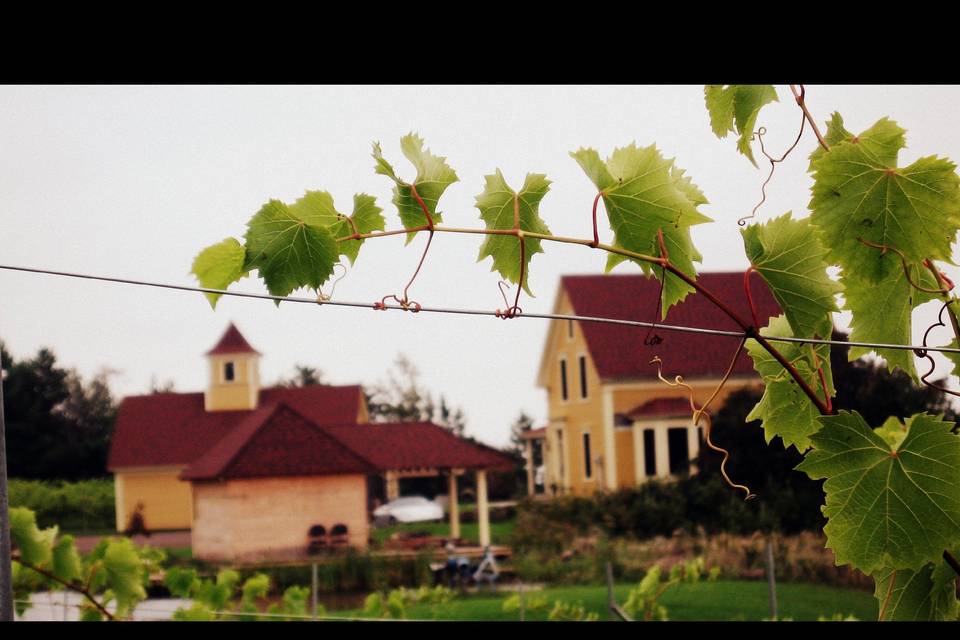 Moncton, New Brunswick vineyard wedding venue