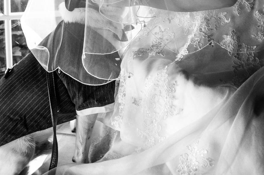 McBeaudry/ St.Catherines, On.