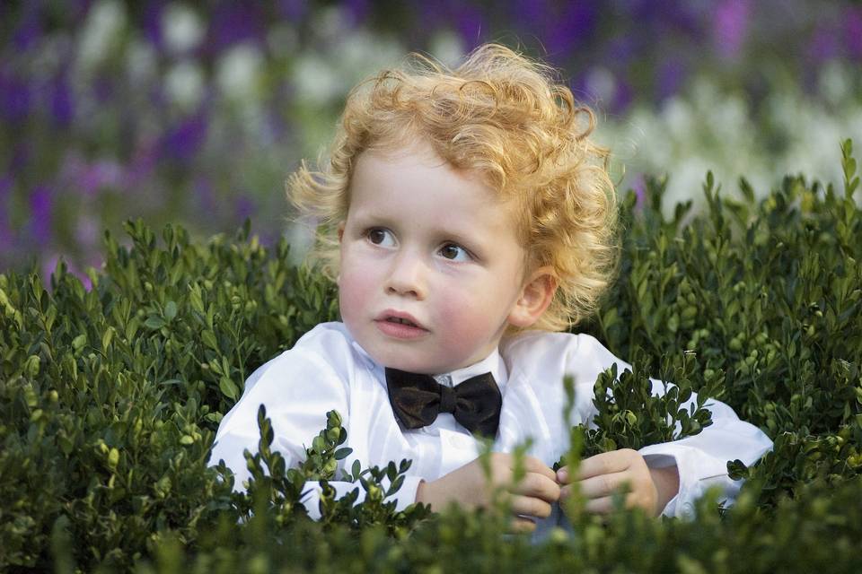 Boy in a hedge