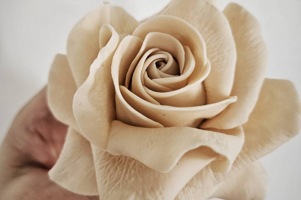 Sugar paste beige rose