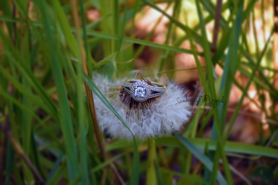 Engagement Ring, Dingle Park