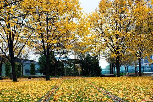 In the fall