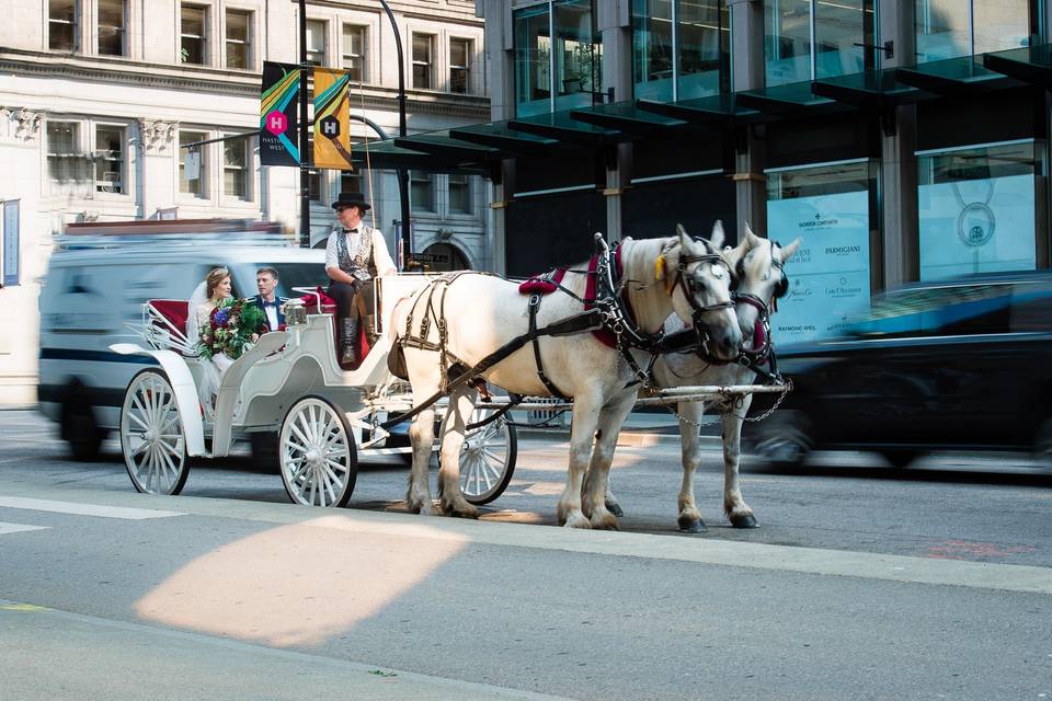 Horse Carriage Wedding