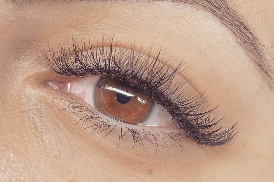 Hybrid Lashes