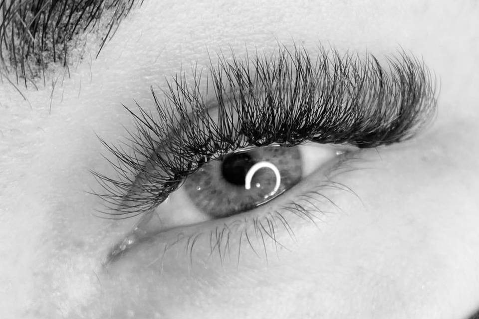 Volume Lashes