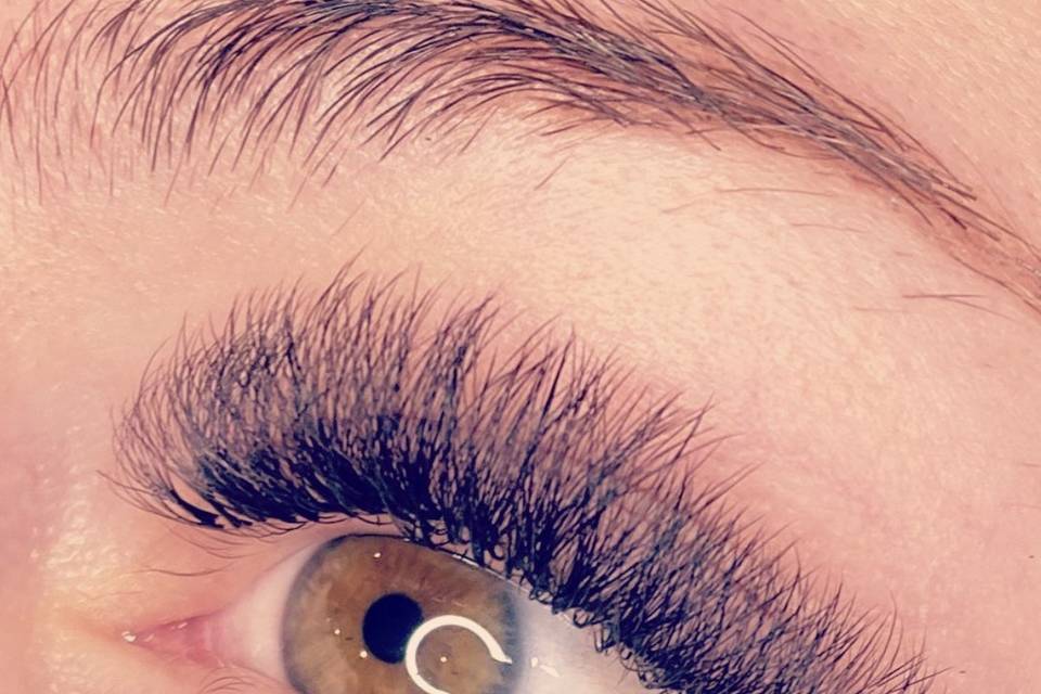 Wink + Co - Lashes/Brows