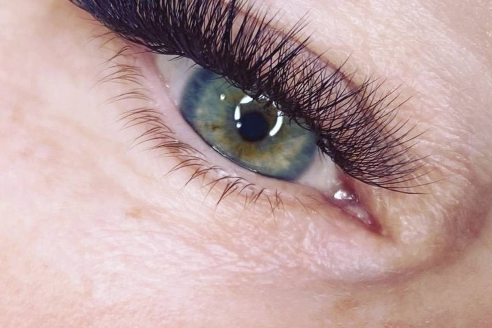 Wink + Co - Lashes/Brows