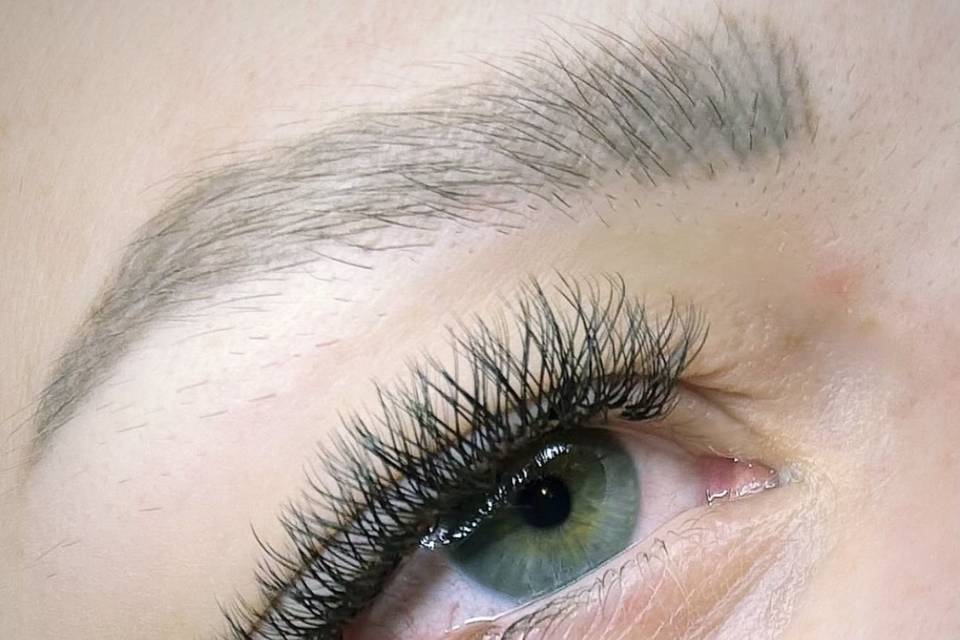 Wink + Co - Lashes/Brows