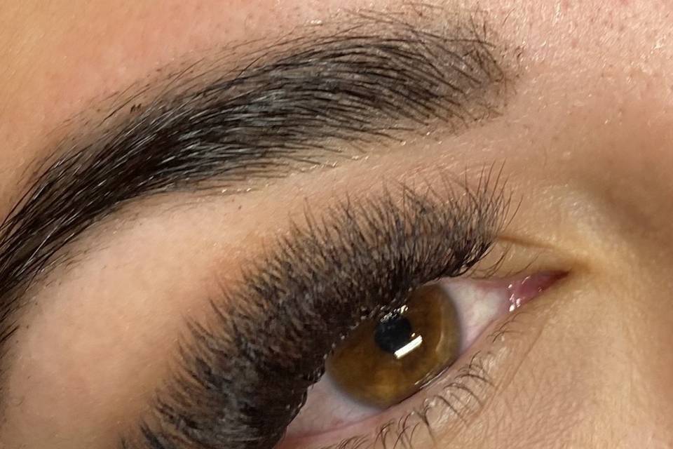 Wink + Co - Lashes/Brows