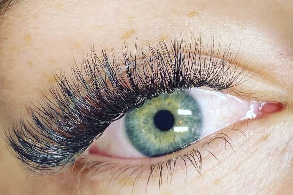 Wink + Co - Lashes/Brows