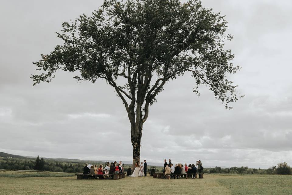 Largescale wedding party