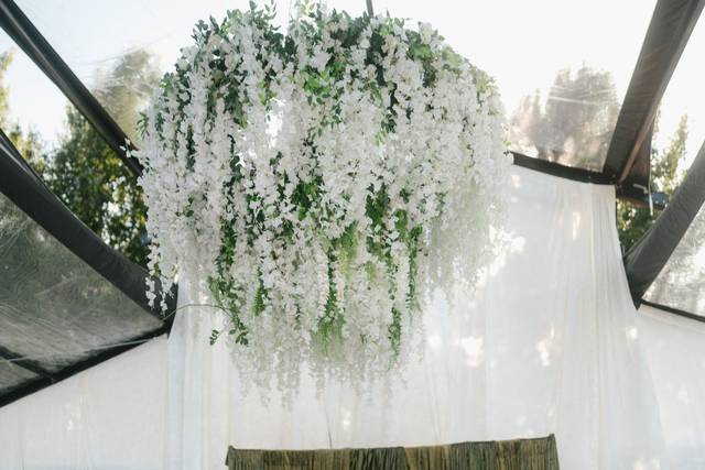 Cassava Events & Rentals