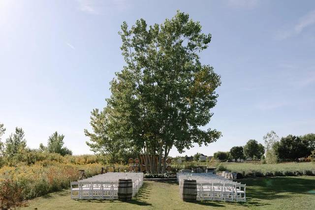 Queenstion Mile Vineyard