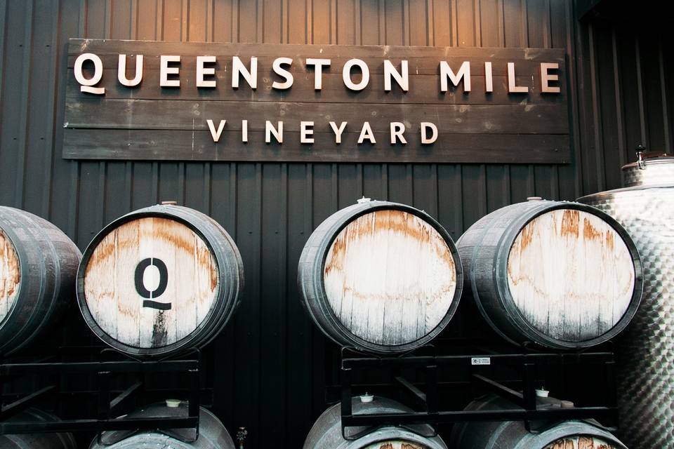 Queenstion Mile Vineyard