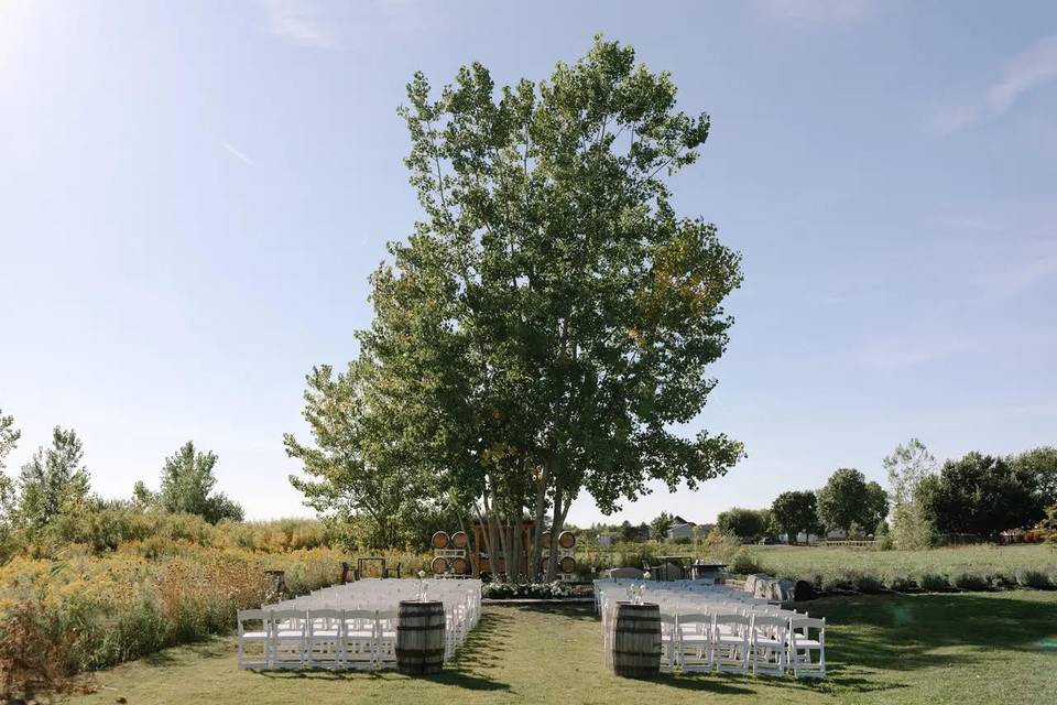 Queenstion Mile Vineyard