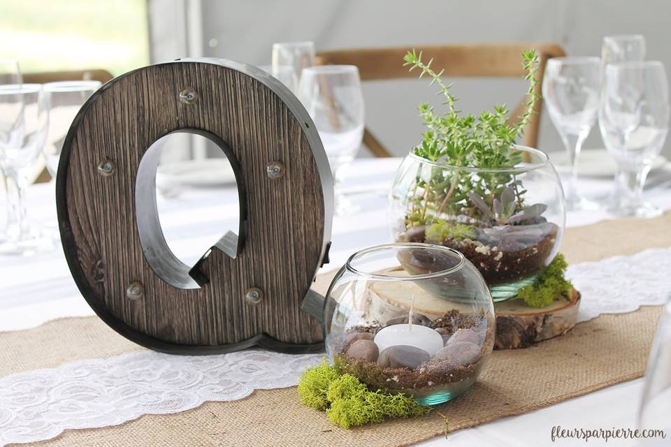 Rustic terrarium centerpieces