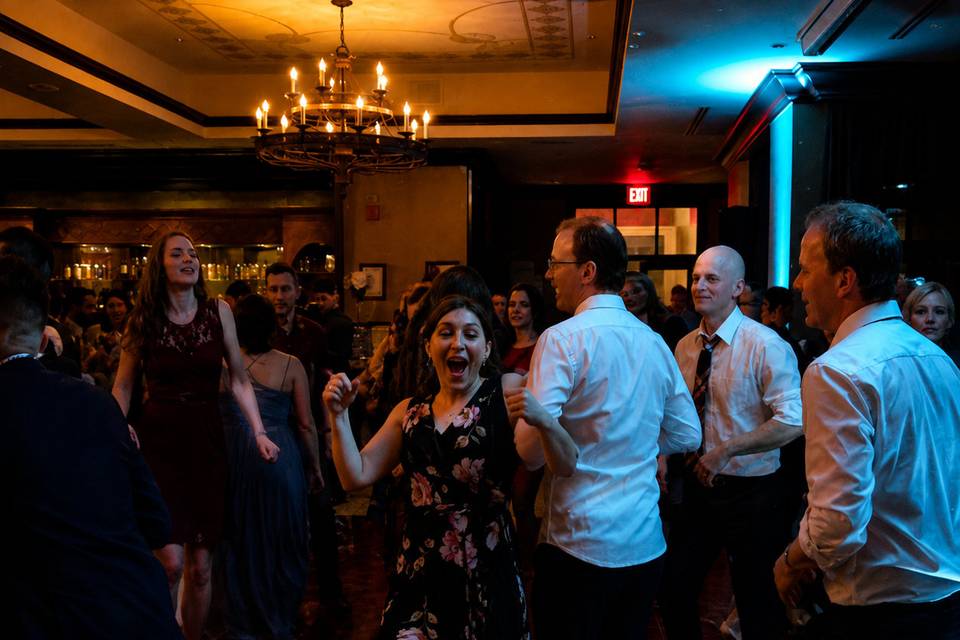 Wedding Party Dancing