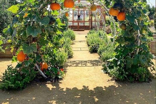 Fall Themed Wedding Arch