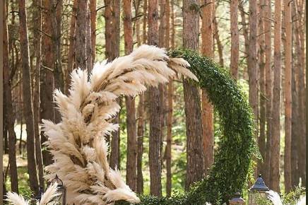 Pampas Grass Moon Gate