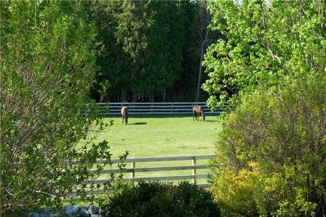 Poplar Hill Equestrian Estate