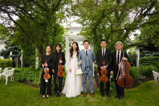 Toronto Wedding Strings | String Quartet & Harp