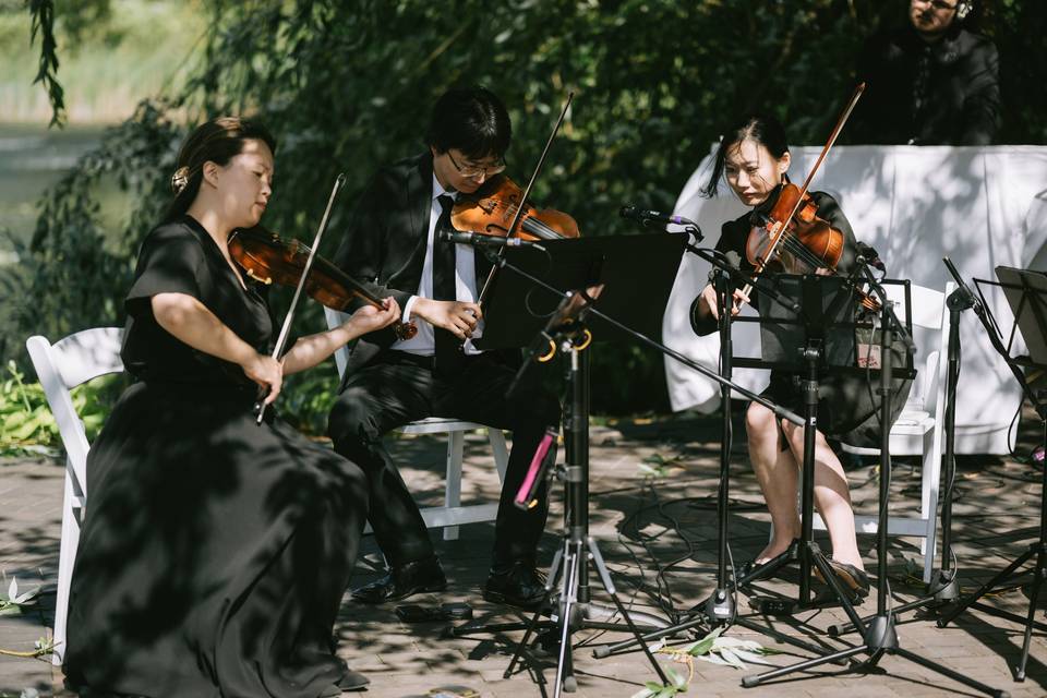 String Quartet & Harp