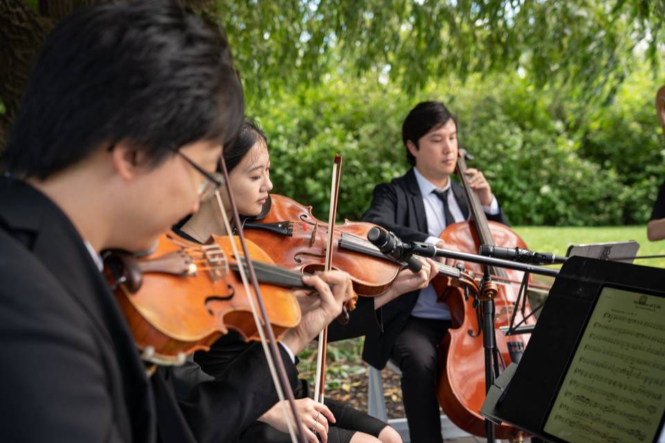 String Quartet & Harp