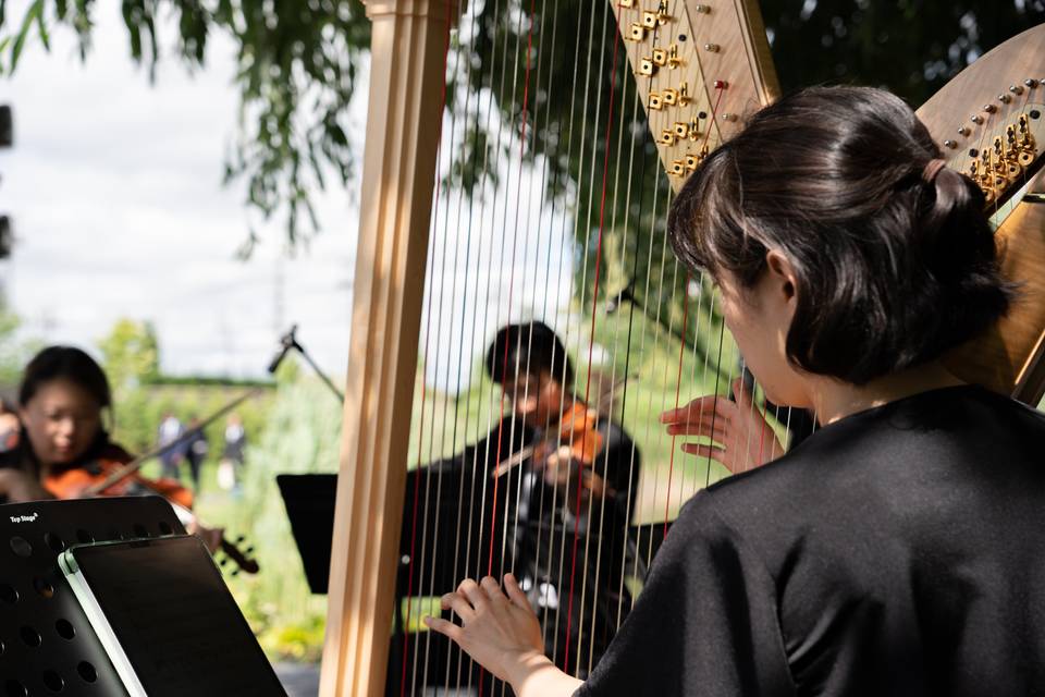 String Quartet & Harp