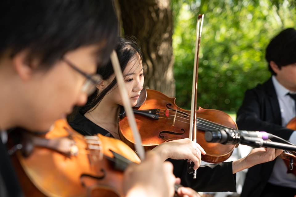 String Quartet & Harp