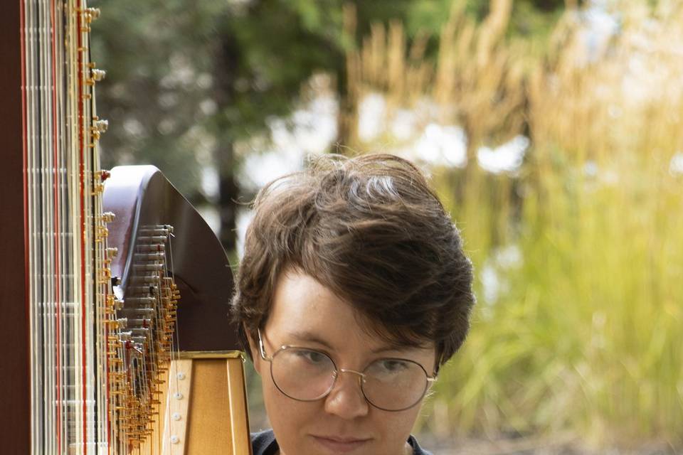 String Trio & Harp!