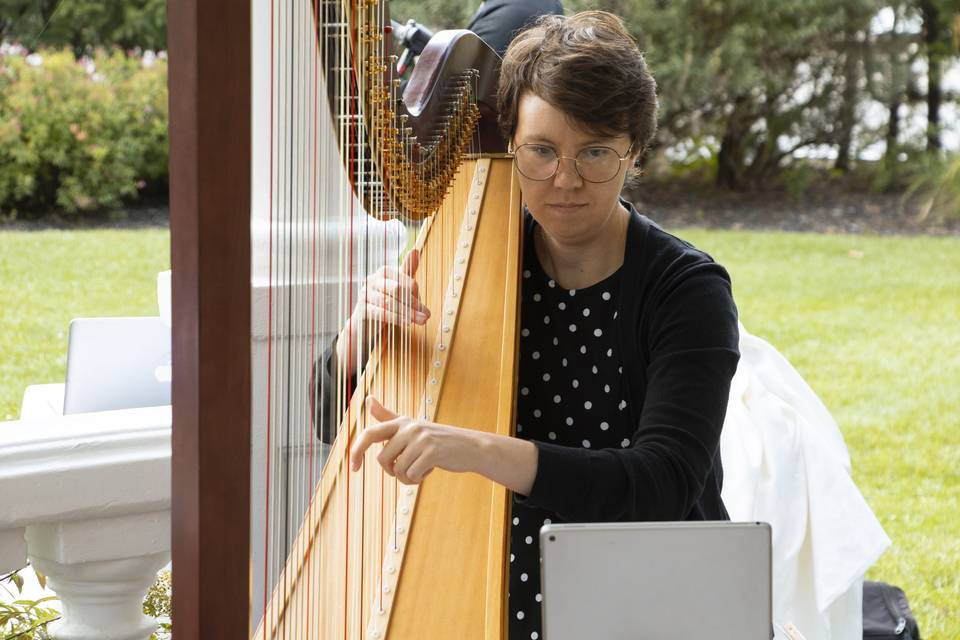 String Trio & Harp!