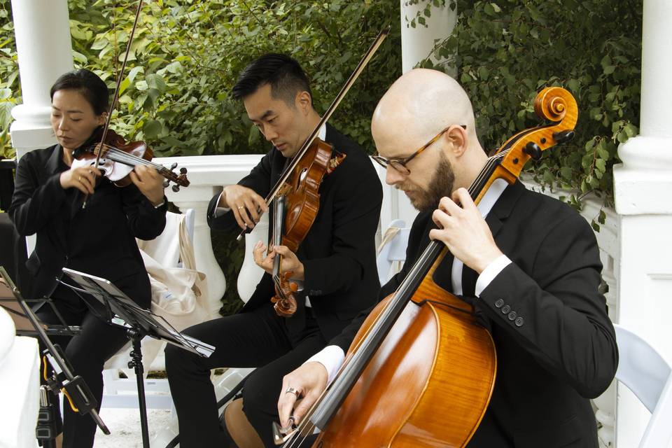 String Trio & Harp!