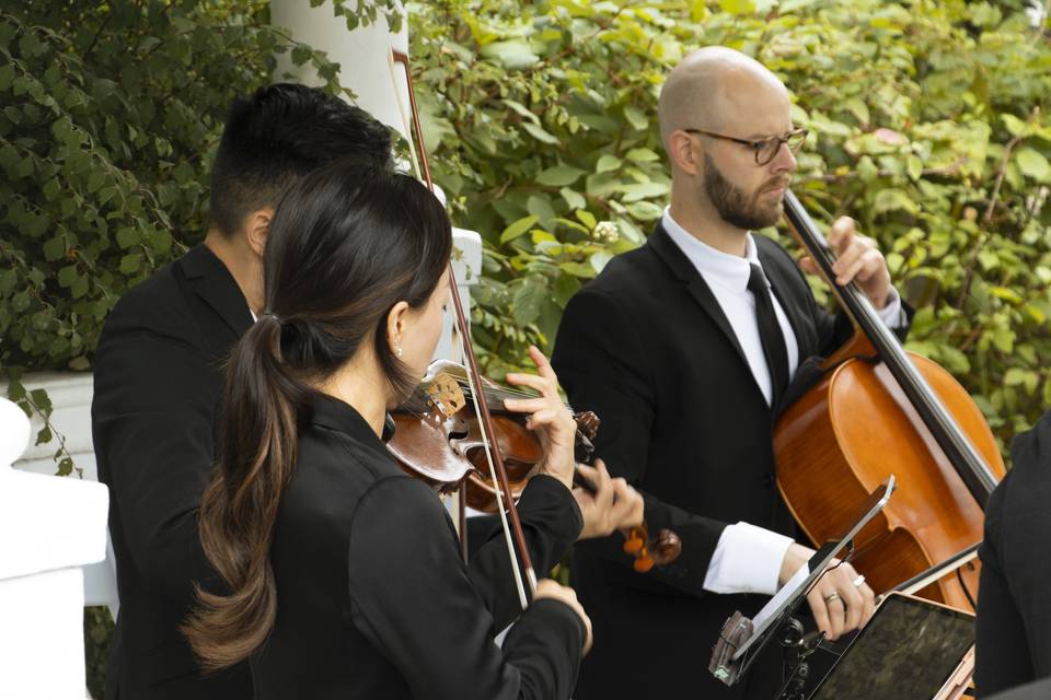 String Trio & Harp!