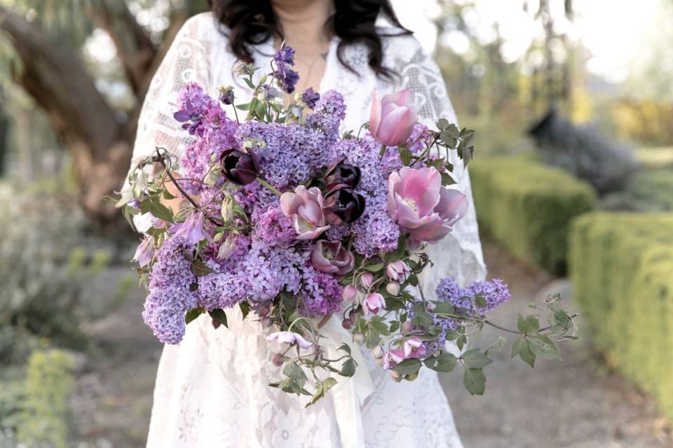 Purples and lilacs