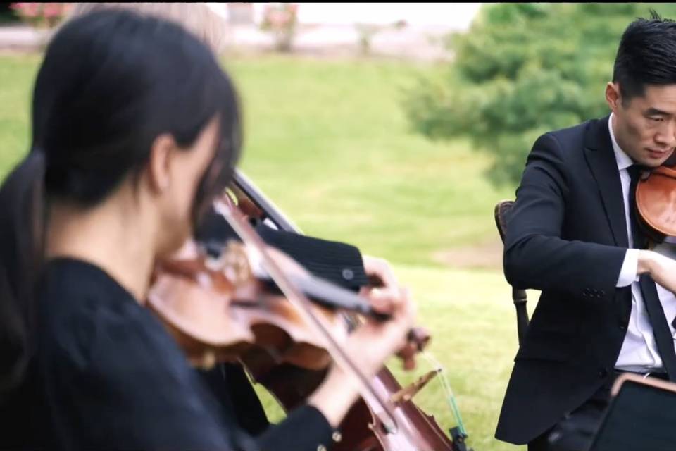 Private String Quartet Concert