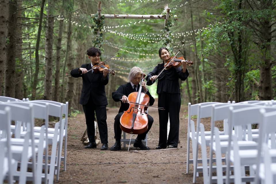 String Trio in the Forest :)