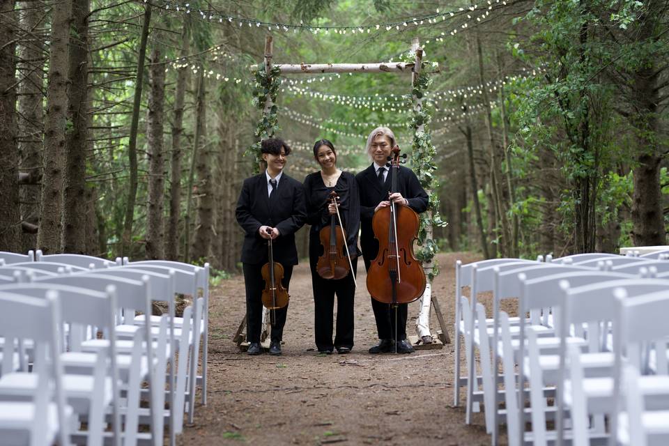 String Trio in the Forest :)